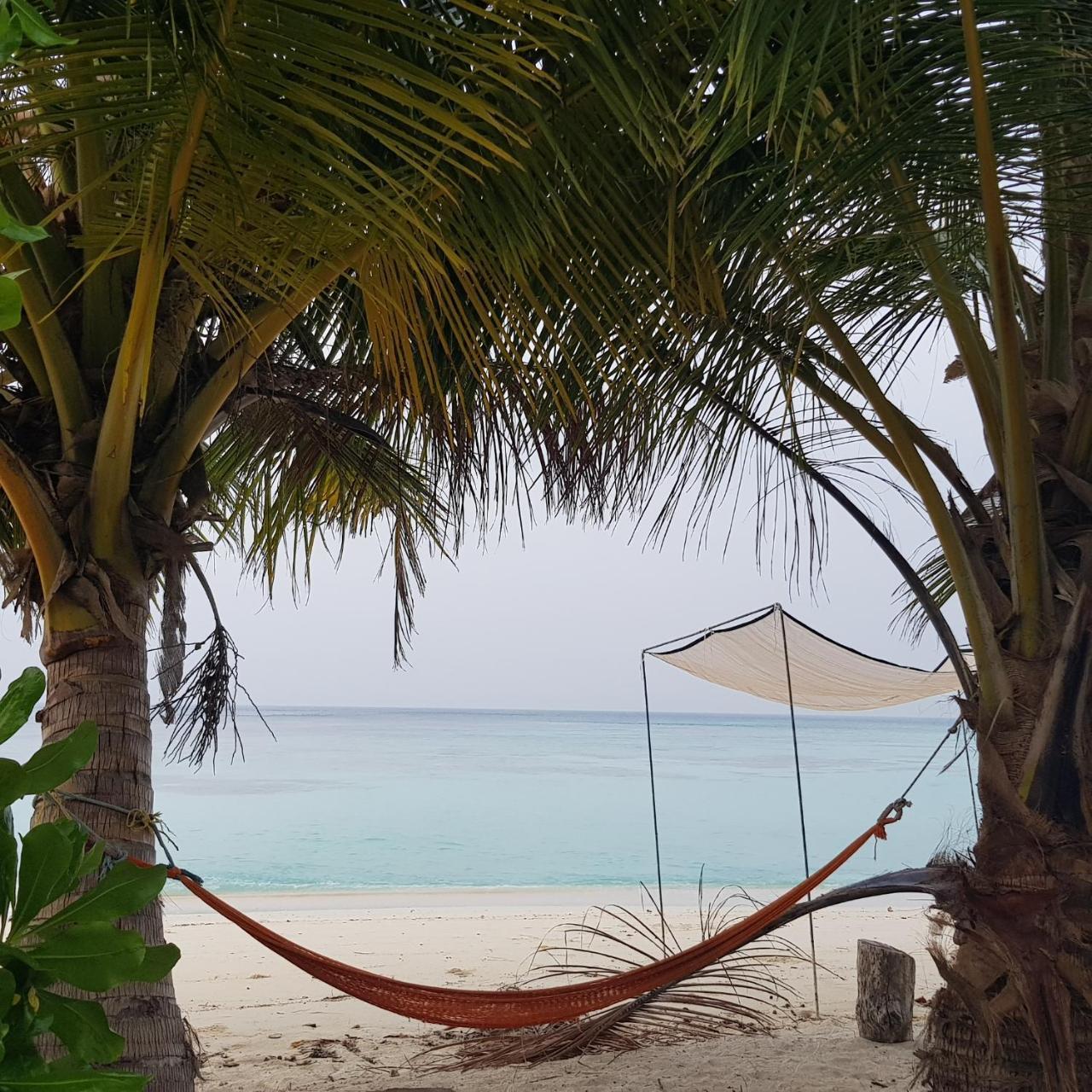 Готель Vaali Maldives Island Escapes & Dive Феліду Екстер'єр фото
